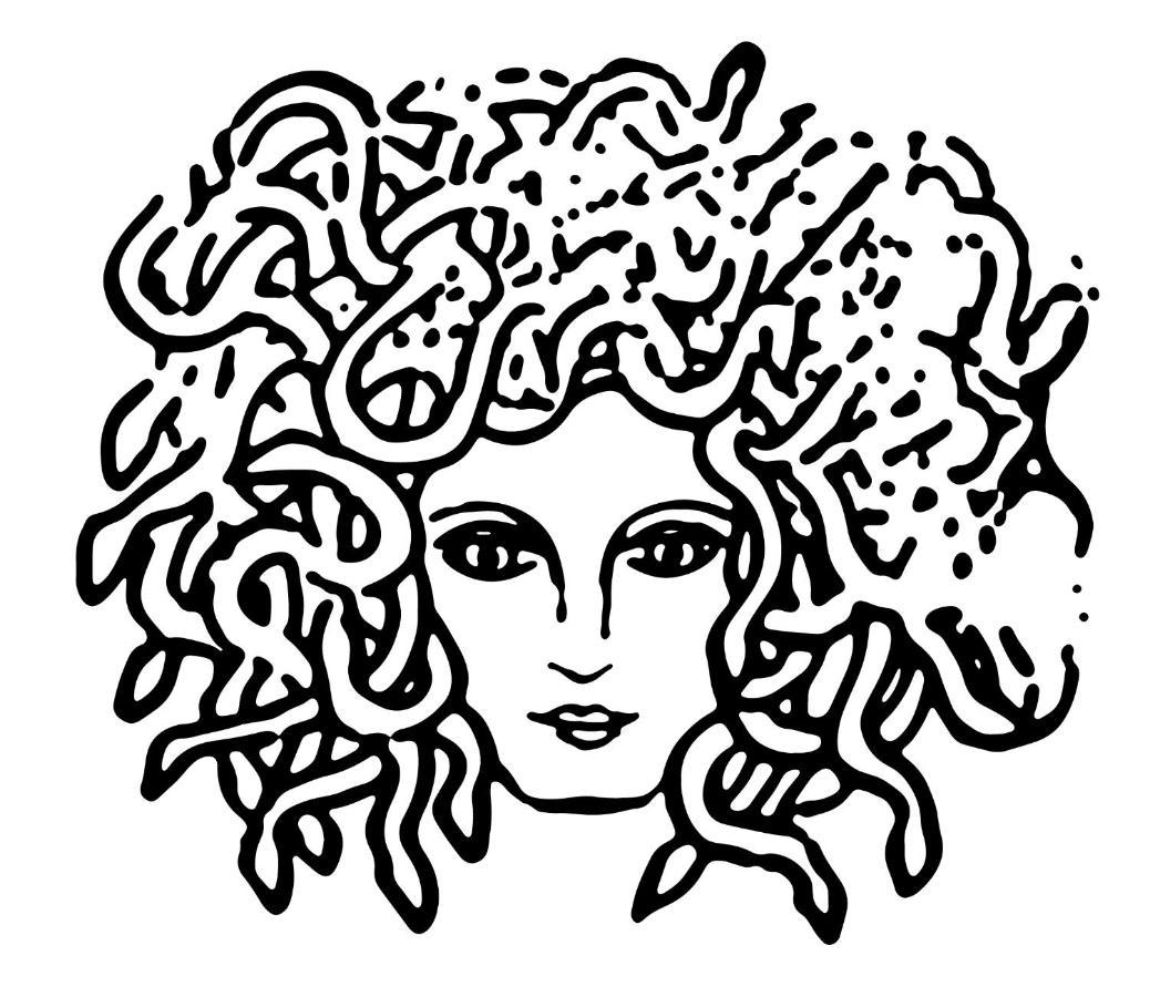 Medusa Duomo Guest House Neapol Exteriér fotografie